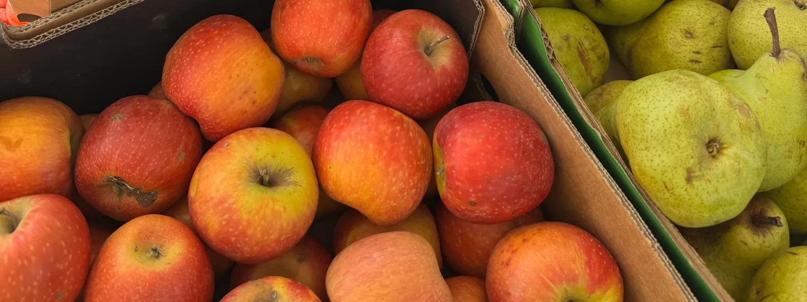 Photo for Oxford Street Farmers Market