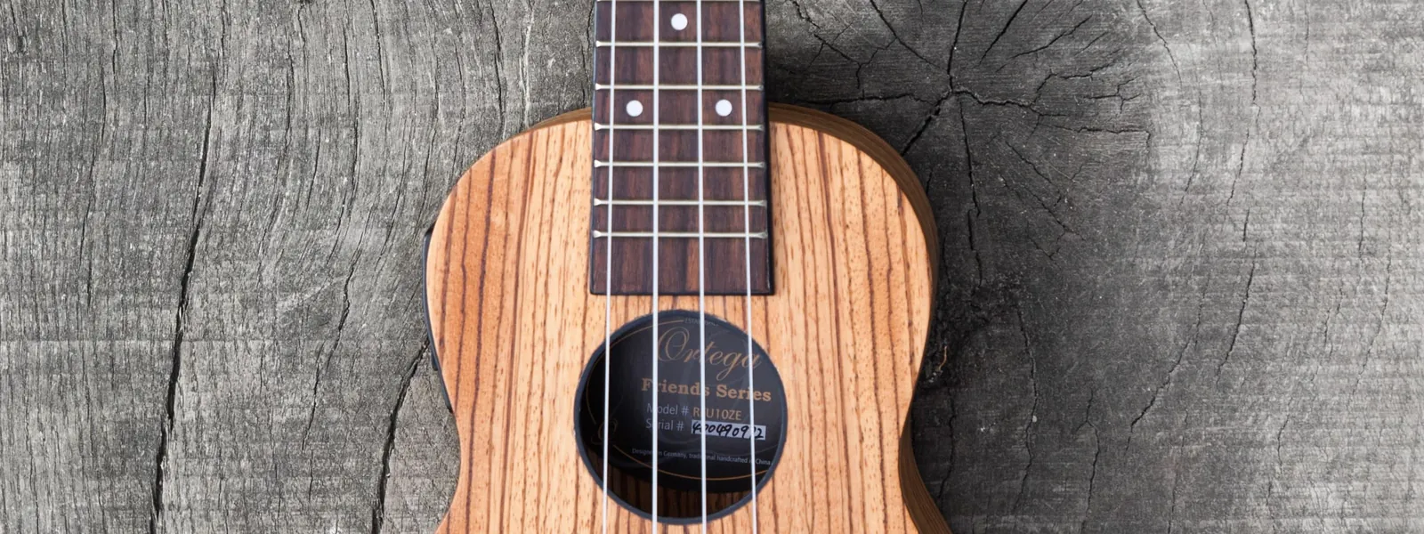 Photo for Ukulele Class: Beginners to Advanced