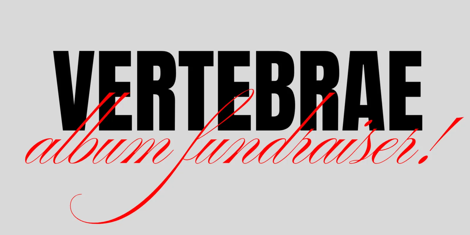 Photo for Vertebrae Album Fundraiser