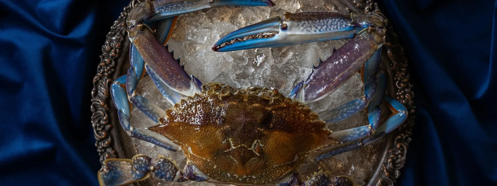 Photo for Australian Baroque Table Still Life Photography Exhibition