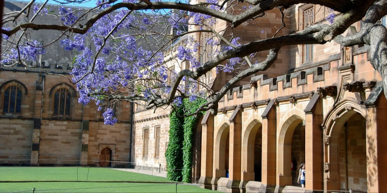 Photo for Social Work and Policy Studies Research Seminar