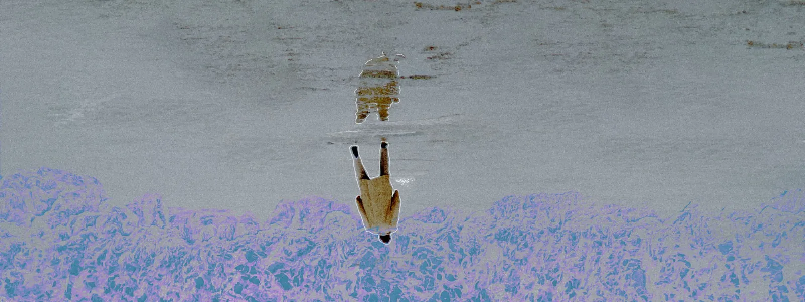 Photo for Asphalt Words and Ocean Dreams