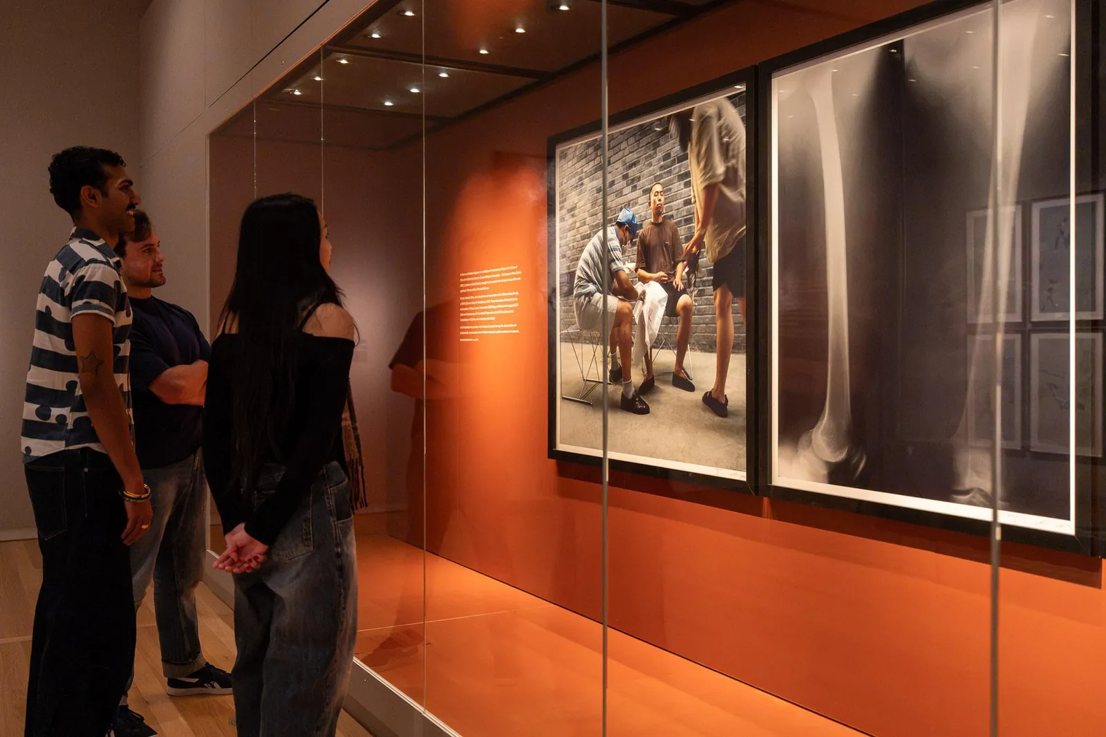 Photo for Curator’s Tour: Terraforming