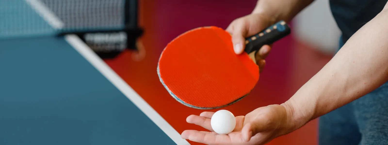 Photo for Social Table Tennis