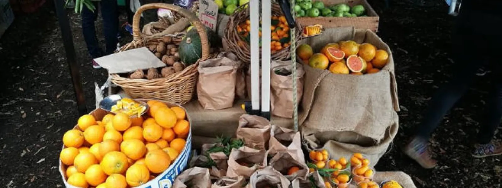 Photo for Marrickville Organic Food Market