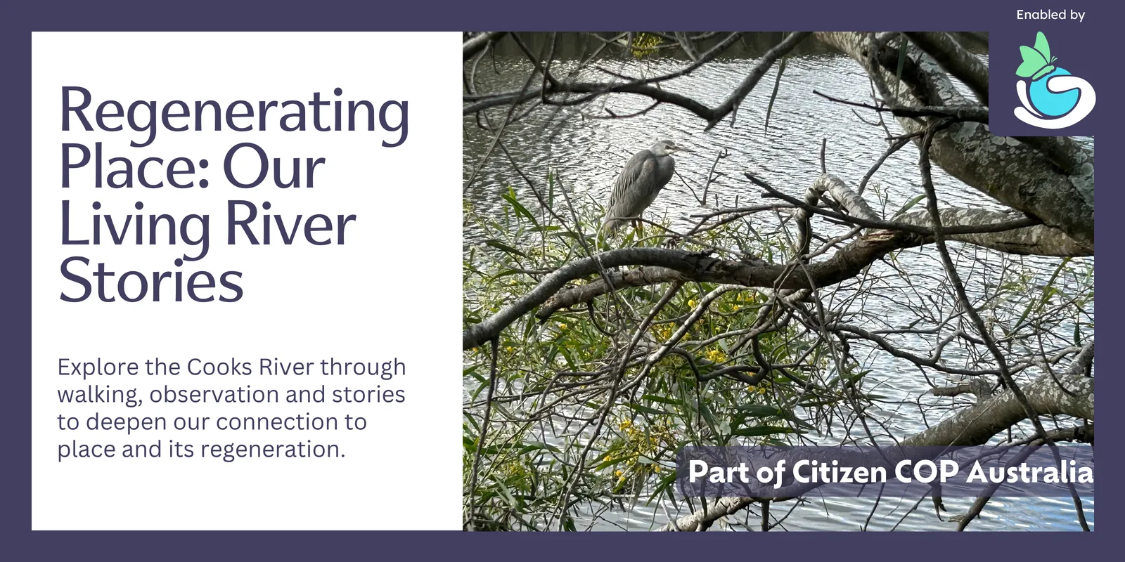 Photo for Regenerating Place: Our Living River Stories Sydney - Citizen Cop