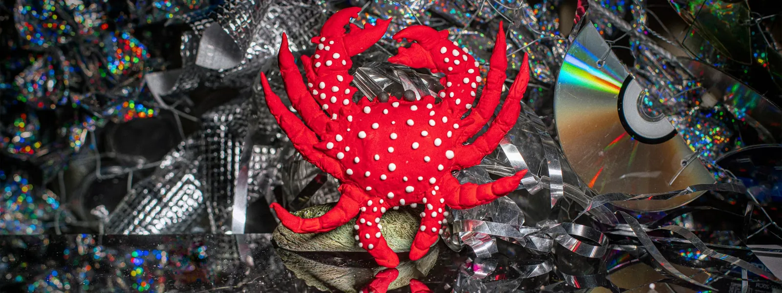 Photo for The Golden Mile Grotto by the Sirens Collective